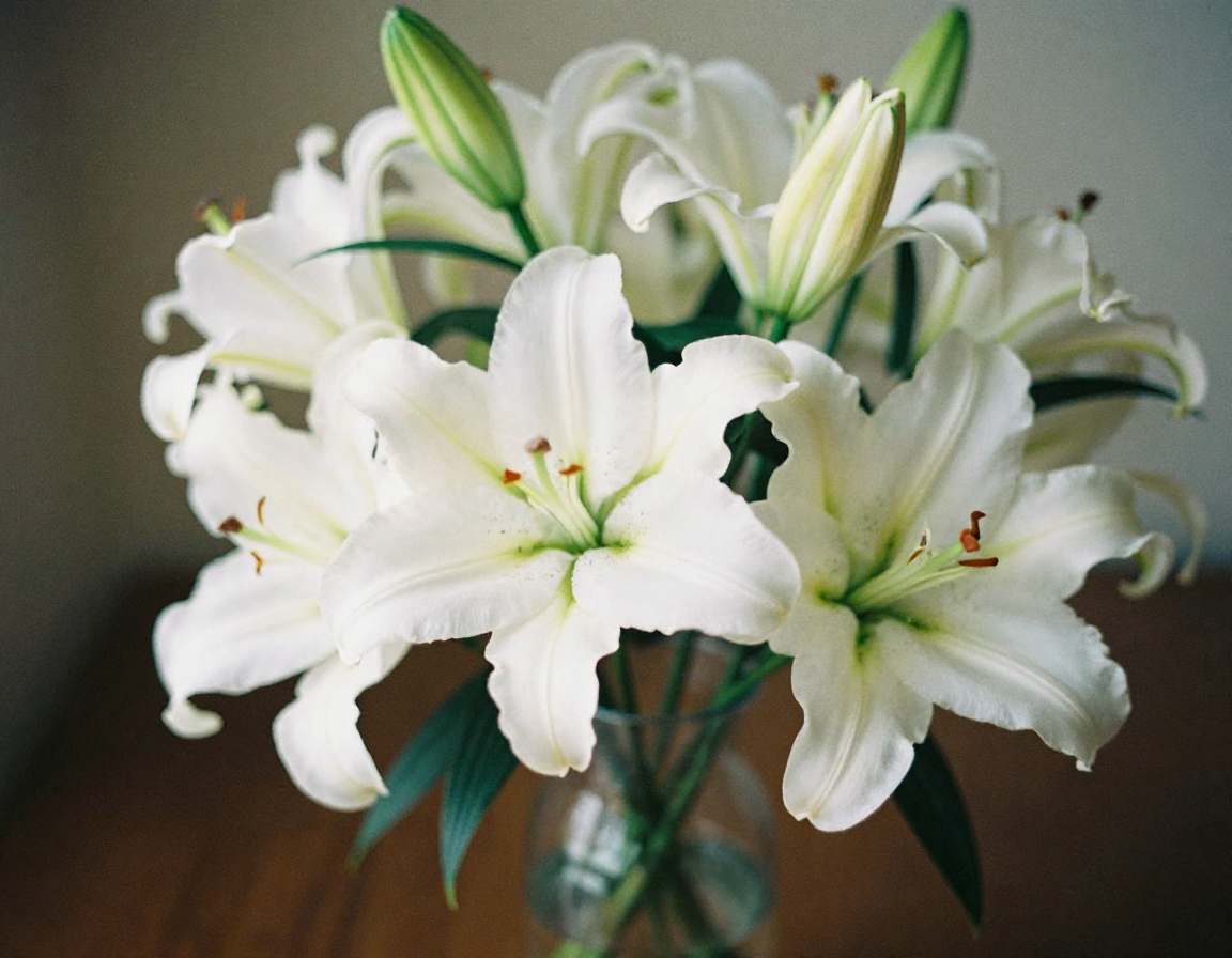 Elegant white lily arrangement
